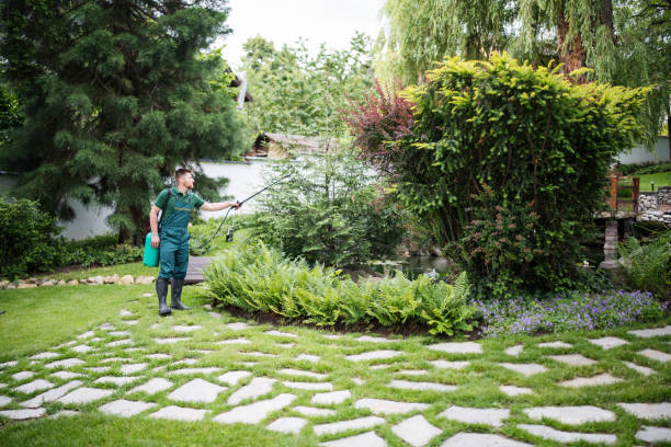 Best Pest Inspection Near Me  in Squaw Valley, CA