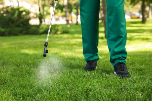 Best Affordable Pest Control Services  in Squaw Valley, CA