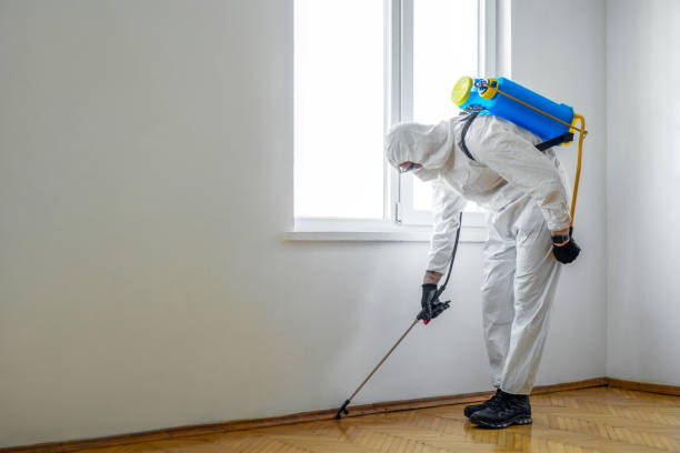 Best Cockroach Control Services  in Squaw Valley, CA