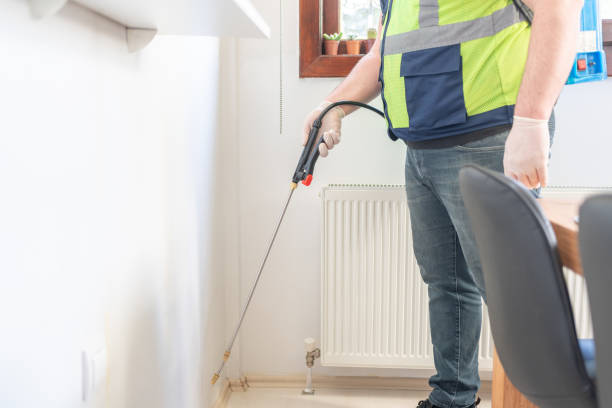 Best Termite Control Services  in Squaw Valley, CA