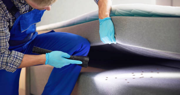 Best Best Pest Control Near Me  in Squaw Valley, CA