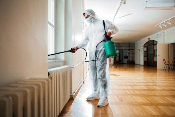 Best Local Pest Control Services  in Squaw Valley, CA